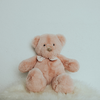 Pink Bear Teddy