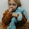 Blue Bunny Teddy - Baby Beau